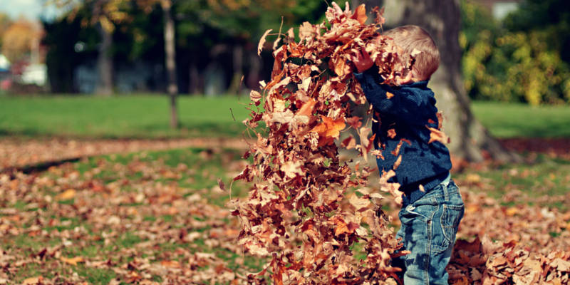 Baby Playing With Dry Leaves, Hudack Law Corona Estate Planning Attorney.