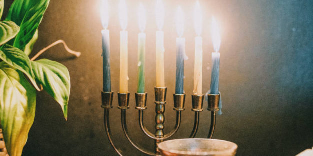 A Special Menorah Candles Beside a Green Plant During Hanukkah, Estate Planning Attorney.