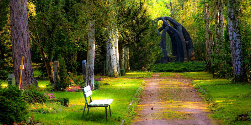 An Empty Bench at the Park After a Loved One Dies, Corona Estate Planning Attorney.